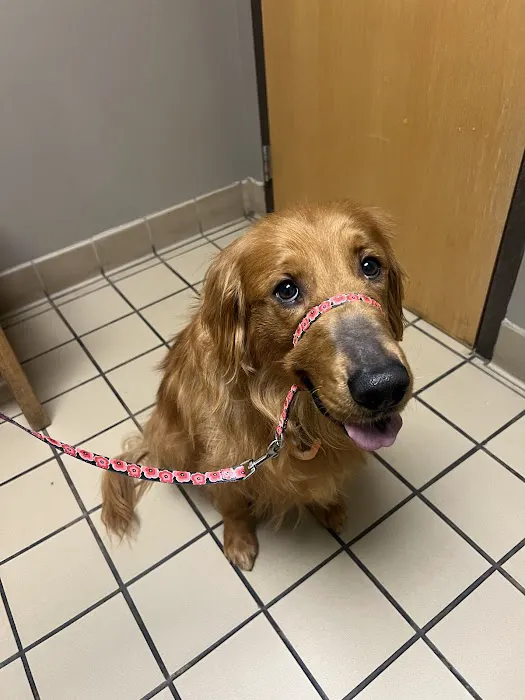 Richland Animal Clinic Picture 6