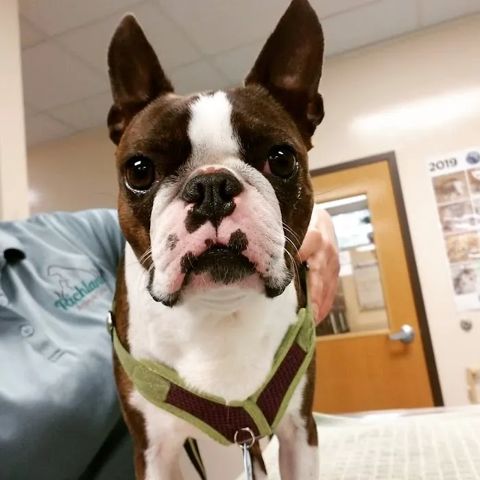 Richland Animal Clinic Picture 8