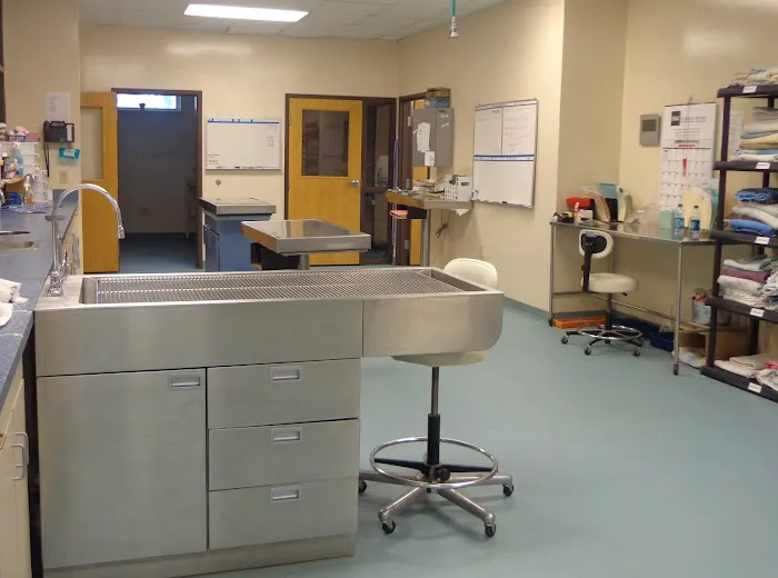 Richland Animal Clinic Picture 10