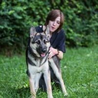 Caudle Veterinary Clinic ico