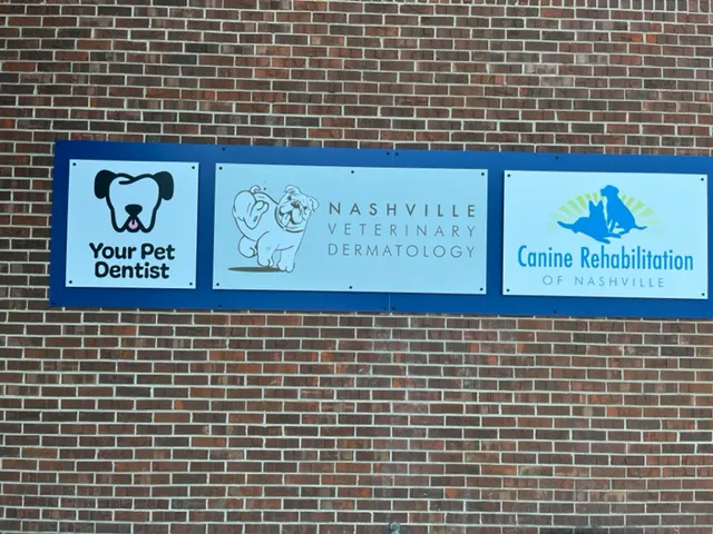 Your Pet Dentist Picture 1