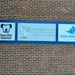 Your Pet Dentist