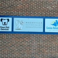 Your Pet Dentist ico