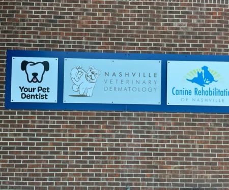 Your Pet Dentist
