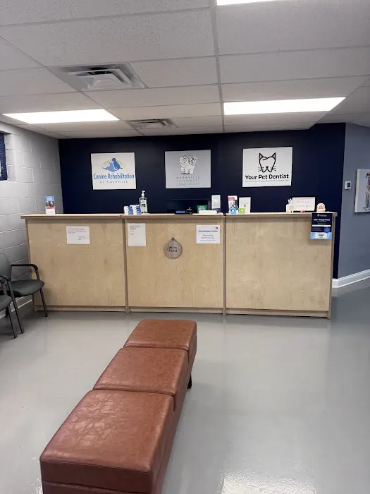 Canine Rehabilitation of Nashville Picture 1