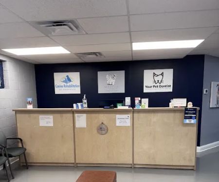 Canine Rehabilitation of Nashville