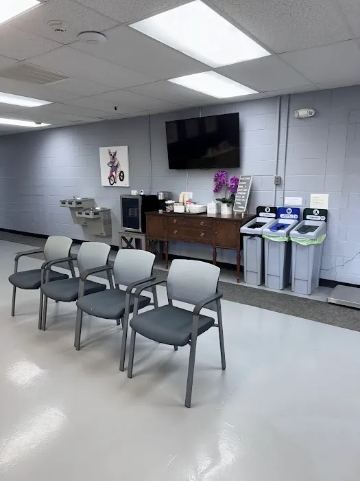 Canine Rehabilitation of Nashville Picture 4