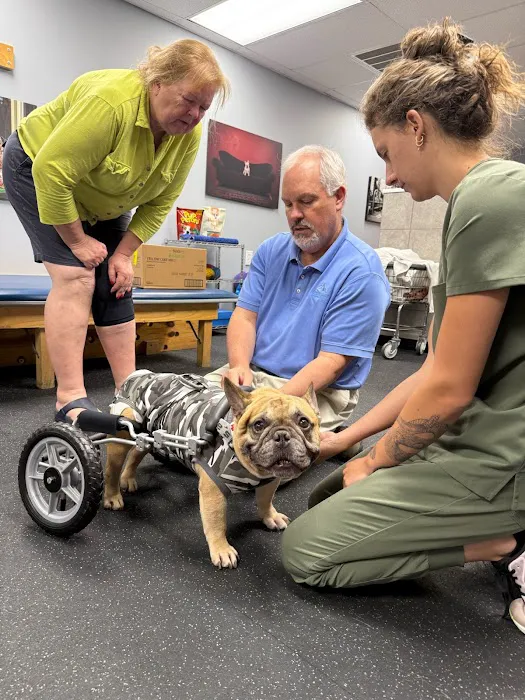 Canine Rehabilitation of Nashville Picture 5