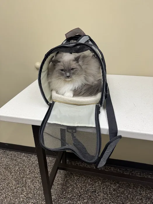 Hillsboro Animal Hospital Picture 1