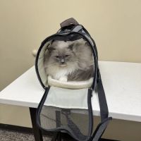Hillsboro Animal Hospital ico