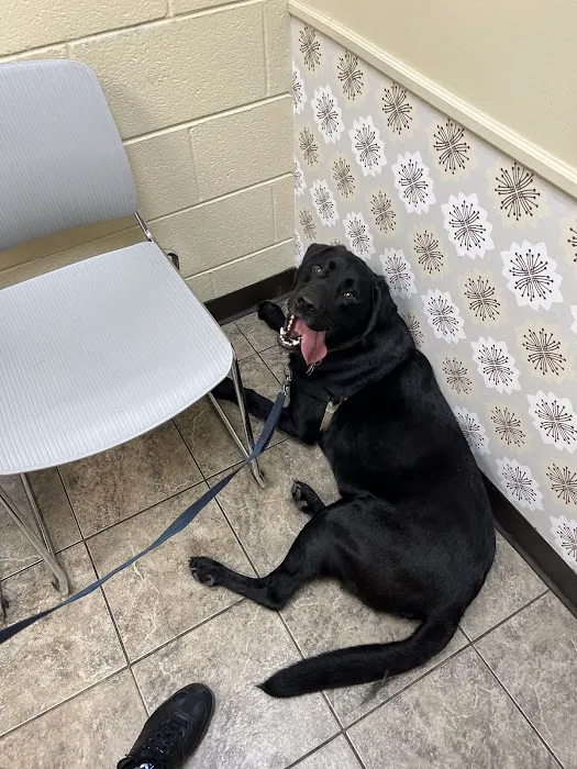 Hillsboro Animal Hospital Picture 3