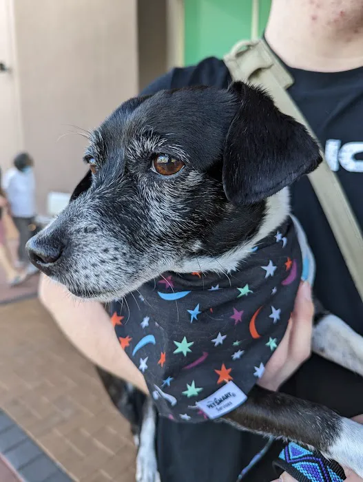 Banfield Pet Hospital Picture 9