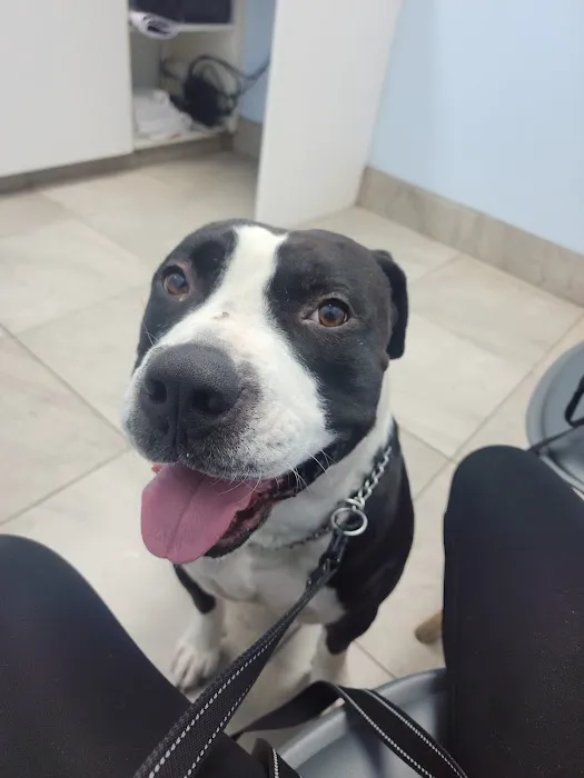 Noe's Ark Animal Hospital Picture 1
