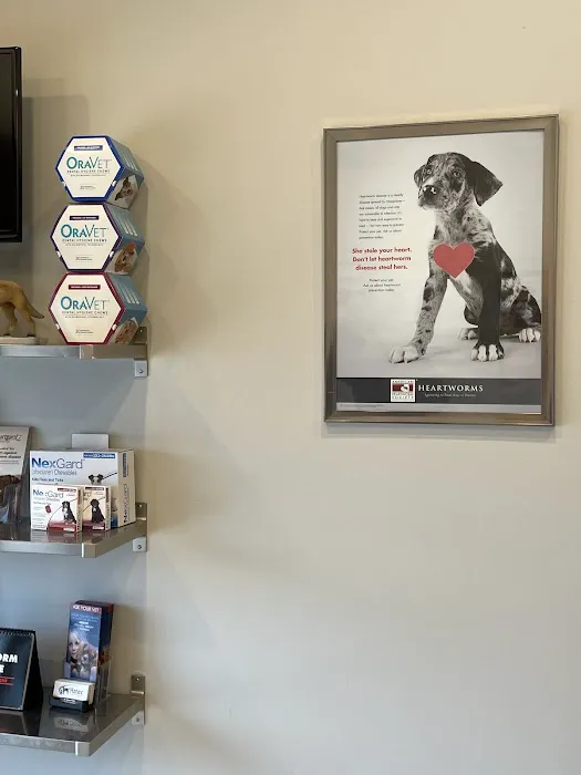 Aztec Animal Hospital Picture 4