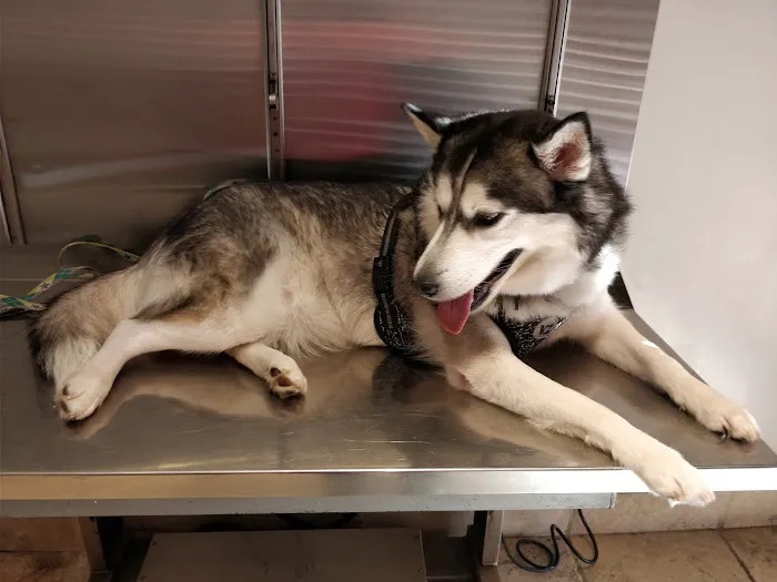 Aztec Animal Hospital Picture 7