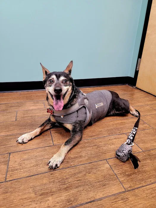 Hayden Road Animal Hospital Picture 1