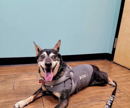 Hayden Road Animal Hospital