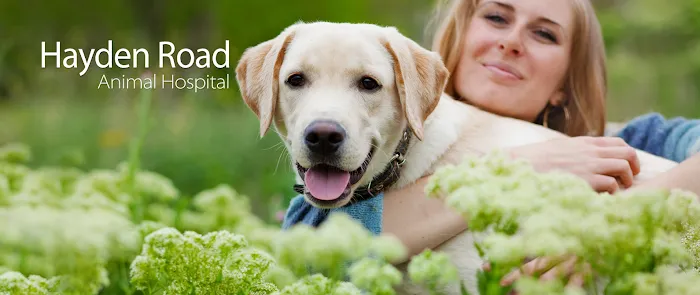Hayden Road Animal Hospital Picture 3