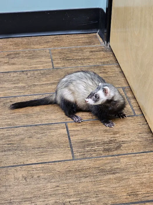 Hayden Road Animal Hospital Picture 2