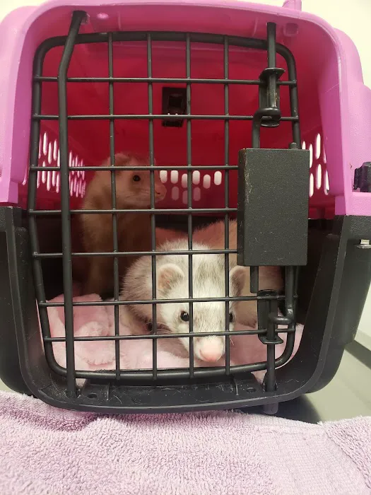 Hayden Road Animal Hospital Picture 6