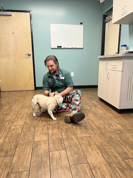 Hayden Road Animal Hospital Picture 7