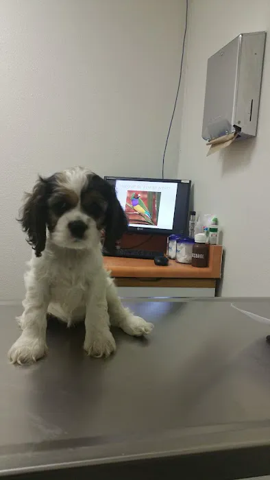 Hayden Road Animal Hospital Picture 9