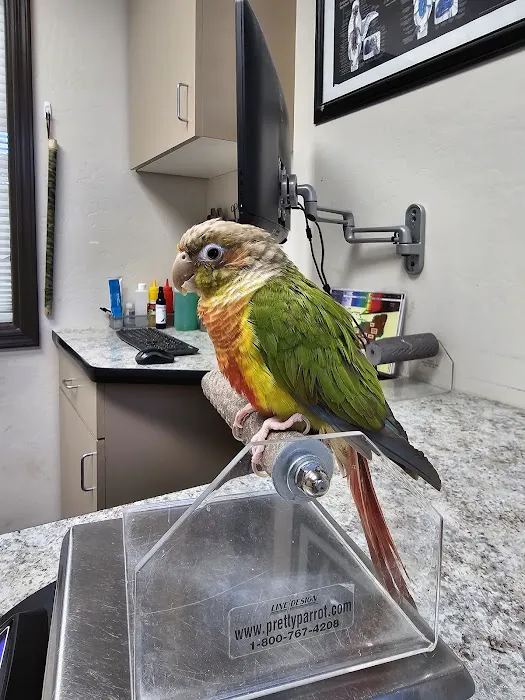 Avian & Exotic Animal Clinic Picture 1