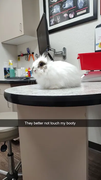 Avian & Exotic Animal Clinic Picture 4