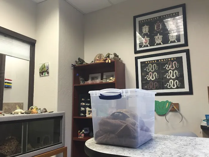 Avian & Exotic Animal Clinic Picture 6