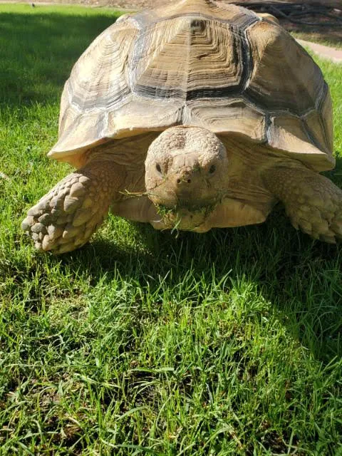 Avian & Exotic Animal Clinic Picture 5