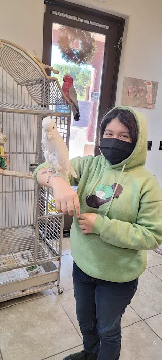 Avian & Exotic Animal Clinic Picture 9
