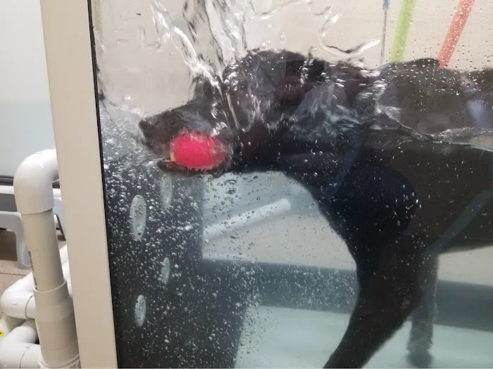 Bark Avenue Animal Hospital Picture 1