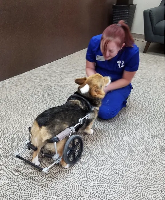 Bark Avenue Animal Hospital Picture 2