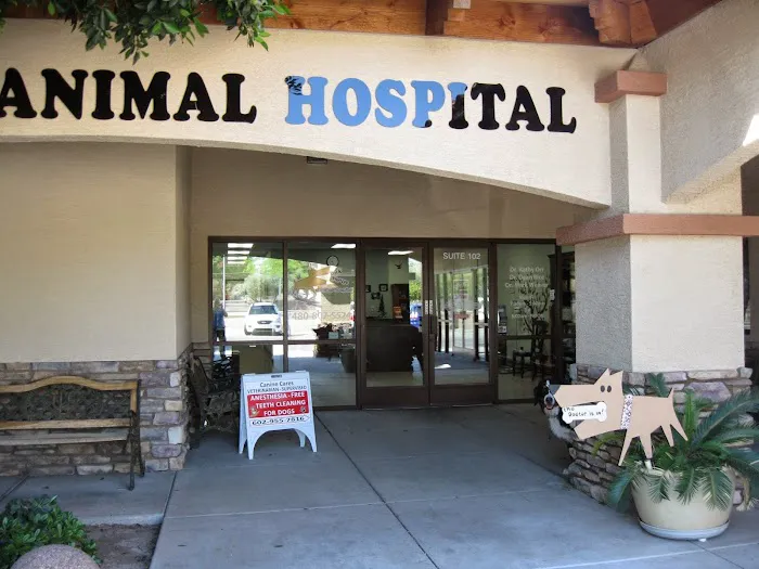 Bark Avenue Animal Hospital Picture 8