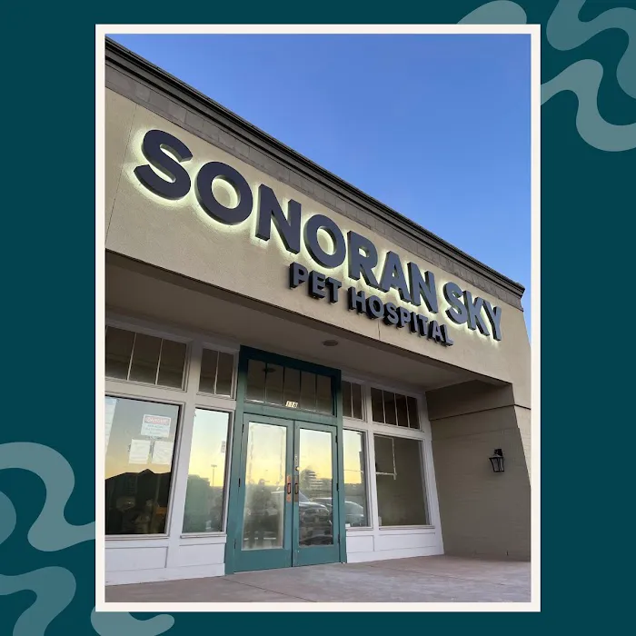 Sonoran Sky Pet Hospital Picture 3