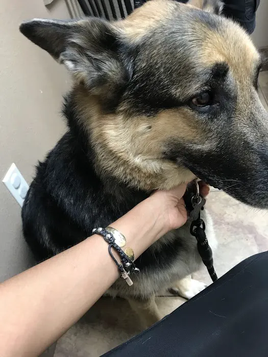 Lovet Pet Health Care - Dobson Ranch Picture 3