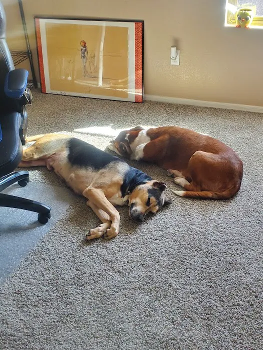 Lovet Pet Health Care - Dobson Ranch Picture 4