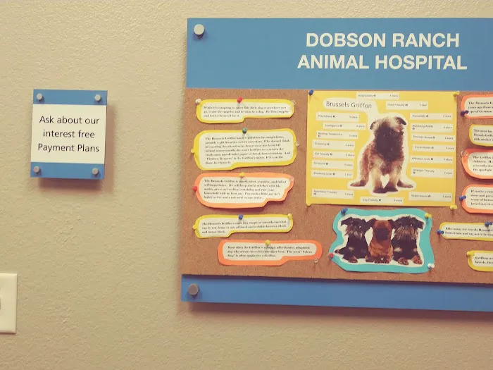 Lovet Pet Health Care - Dobson Ranch Picture 7