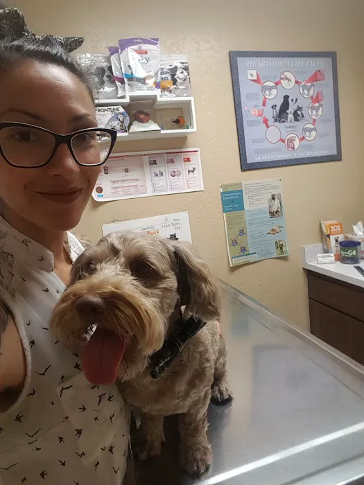 Pride Animal Hospital Picture 4