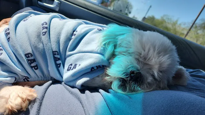 Pride Animal Hospital Picture 2