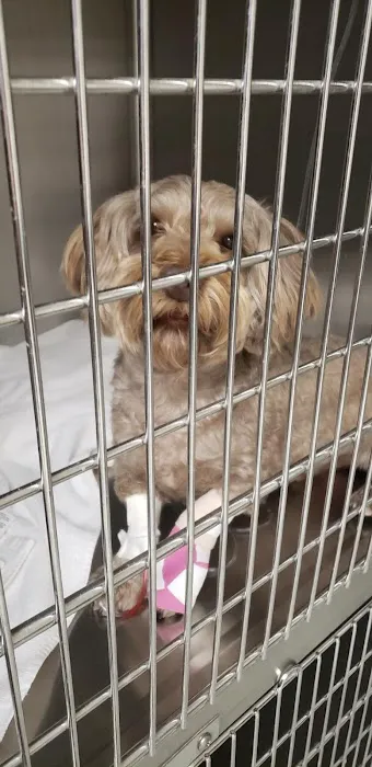 Pride Animal Hospital Picture 7