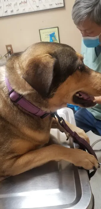 Pride Animal Hospital Picture 8