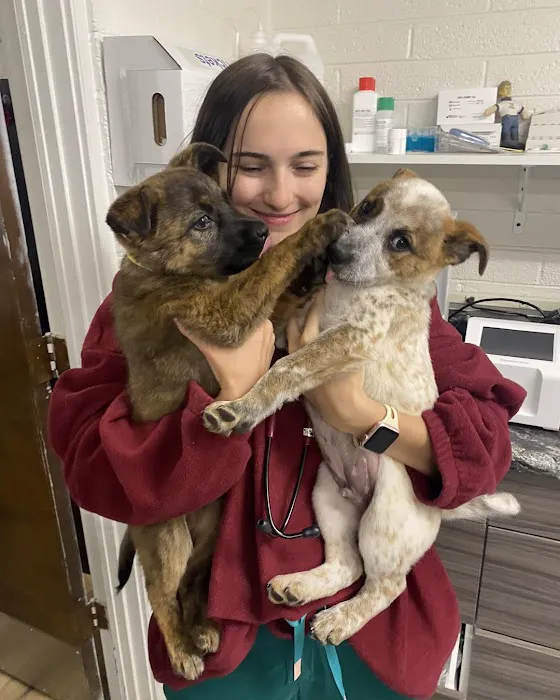 Neighborhood Veterinary Clinic Picture 8