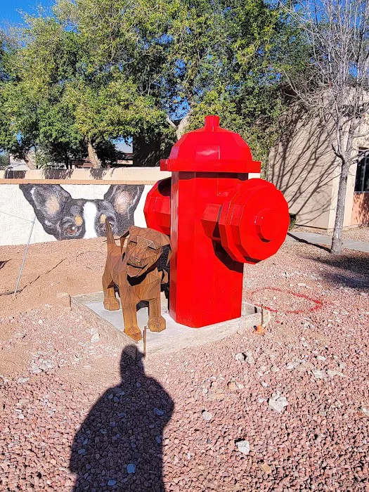 Neighborhood Veterinary Clinic Picture 7