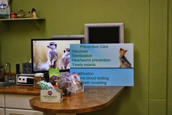 Anasazi Animal Clinic Picture 1
