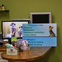 Anasazi Animal Clinic ico