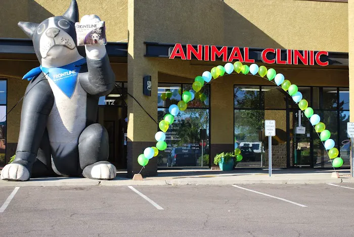 Anasazi Animal Clinic Picture 4