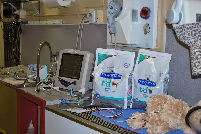 Anasazi Animal Clinic Picture 7