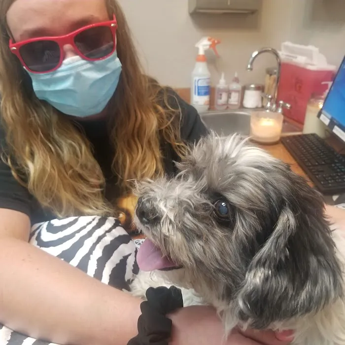Anasazi Animal Clinic Picture 10