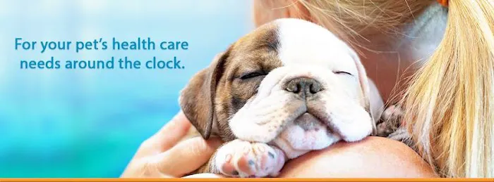1st Pet Veterinary Centers - Chandler Picture 2
